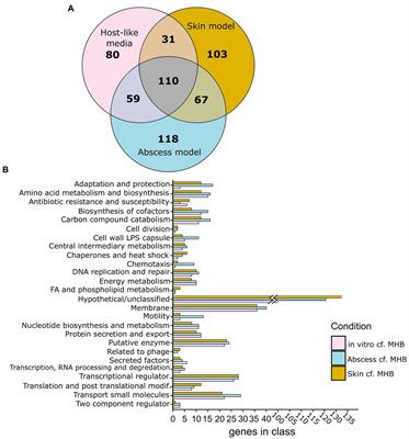 Surviving the host: Microbial metabolic genes required for growth of Pseudomonas aeruginosa in physiologically-relevant conditions